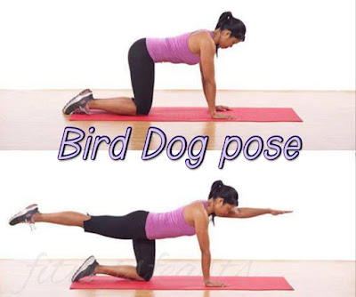 Bird Dog Pose