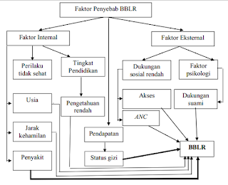 Skema Faktor Penyebab BBLR, penyebab bblr