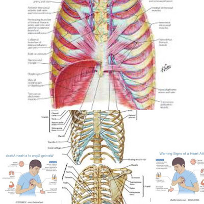 Chest pain is a power full and you can't stand up straight if you have chest pain.