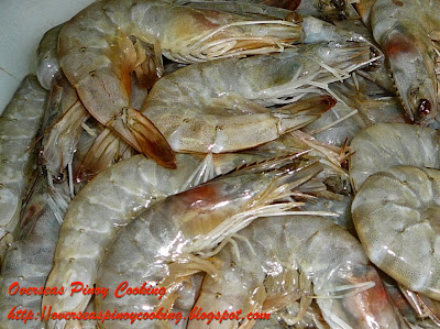 Prawns