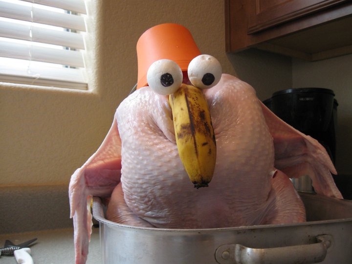 Funny Turkey Pictures