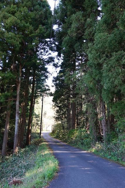 別所川渓流植物園へ向かいます