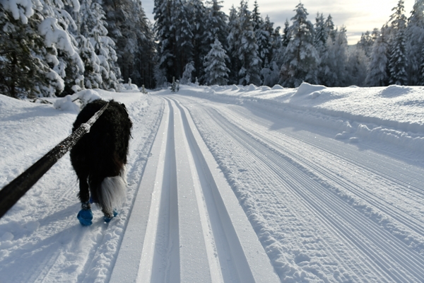 skitur igletjernrunden