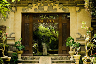 Inilah Tempat Wisata Keren Dekat Bali Zoo Park