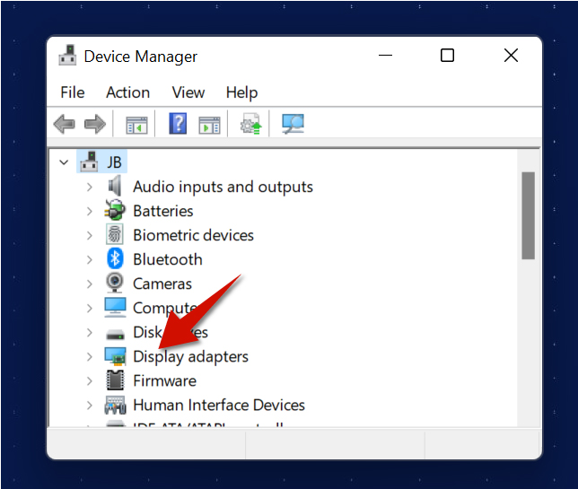 The display adapters section in the Device Manager.