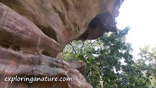 Bhimbetka, The Rock Shelters