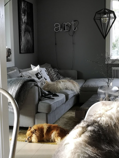 annelies design, webbutik, webbutiker, webshop, nätbutik, hundar, hund, hubsch interior, hubsch, korgar, korg, vardagsrum, vardagsrummet, pomaranian, dekoration, dekorera, inredningsdetaljer, matta, vas, kudde, kuddar, koordinater, svartvit, svartvitt, tavla, tavlor, lampa, lampor