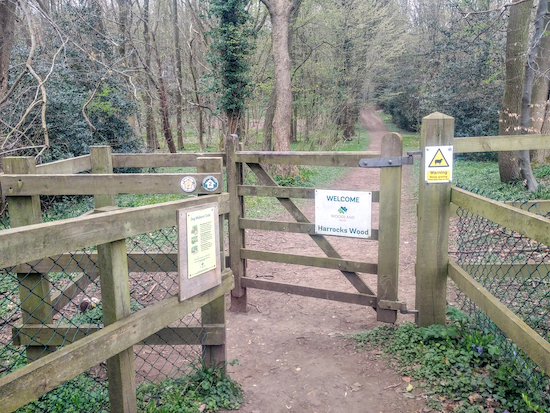 The entrance to Harrocks Wood - take the right fork once through the gate