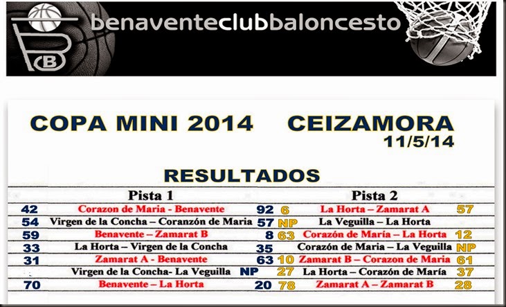 copa mini 20141
