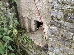 IMG 0699