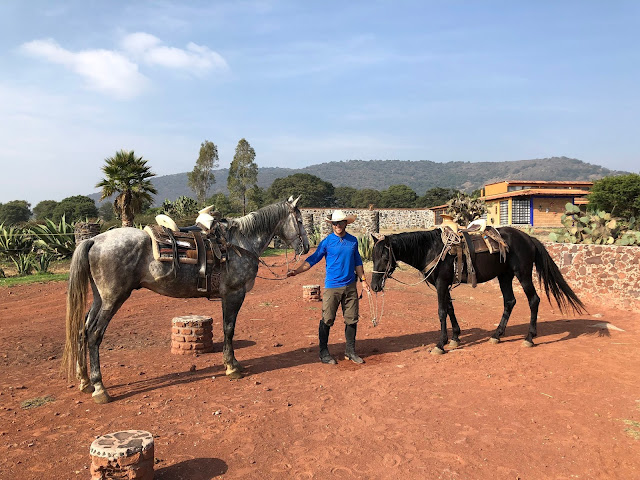 Rancho Las Cascadas Mexico Horses