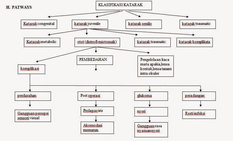 Pathway Katarak Pathway Patofisiologi