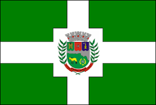 Bandeira de Catas Altas MG