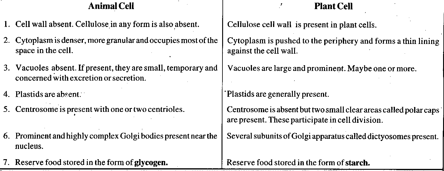 Difference Between Plant and Animal Cells