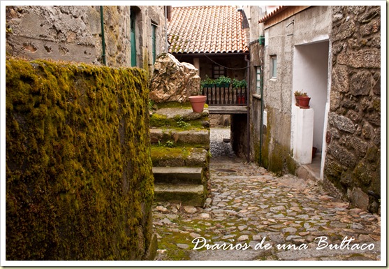 Linarhes-2