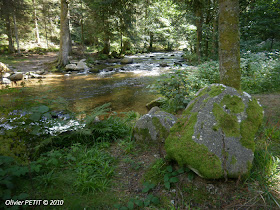 GERARDMER (88) - Le sentier écologique des Perles de la Vologne 