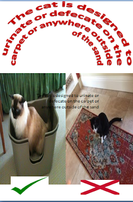 The cat is designed to urinate or defecate on the carpet or anywhere outside of the sand