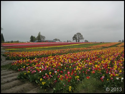 13-04-19-12-03-04H