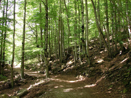 Valle de Ordesa