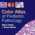 Color Atlas of Pediatric Pathology, 2011 Edition [PDF]