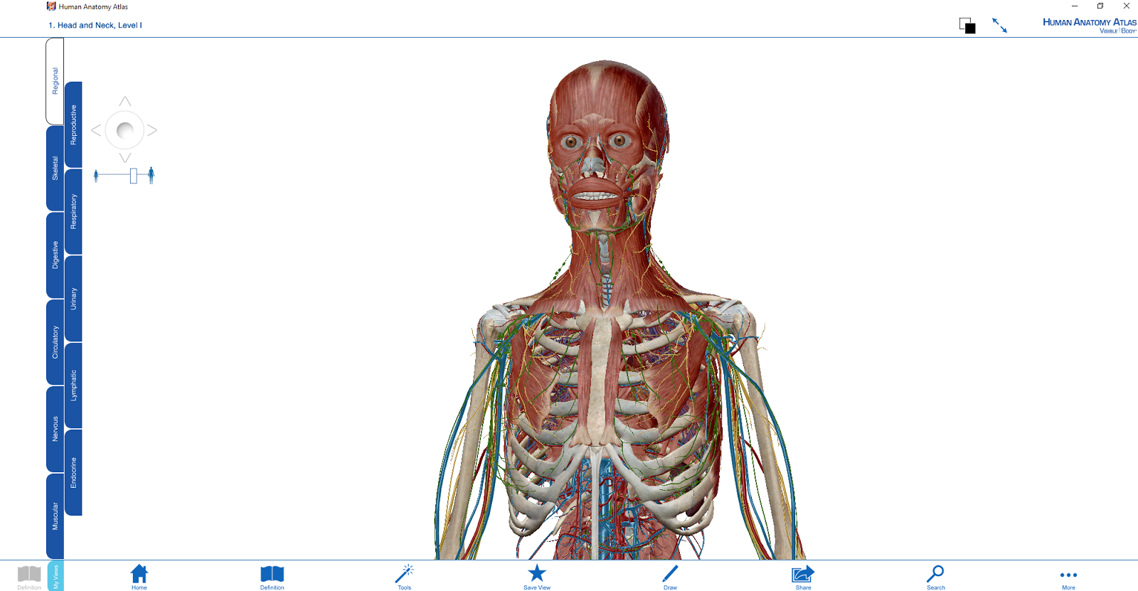 3D Human Anatomy Atlas: Visible Body