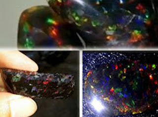 Treatment Black opal dengan minyak