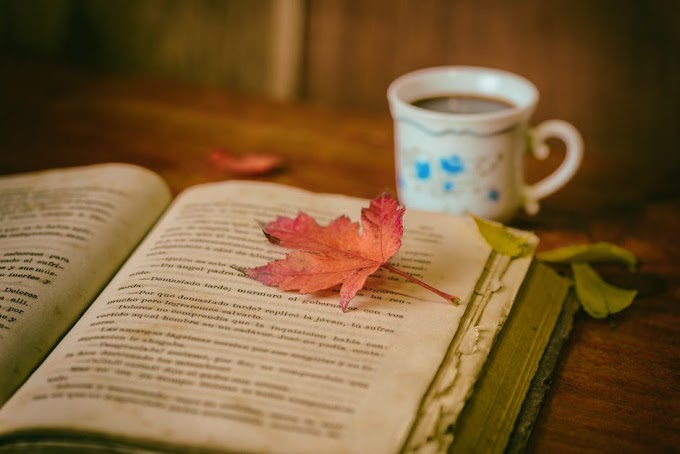 RECOMMENDATION OF READING BOOKS FOR YOUR COMPETITIVE EXAM PREPARATION