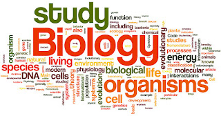 Cabang-Cabang Ilmu Biologi