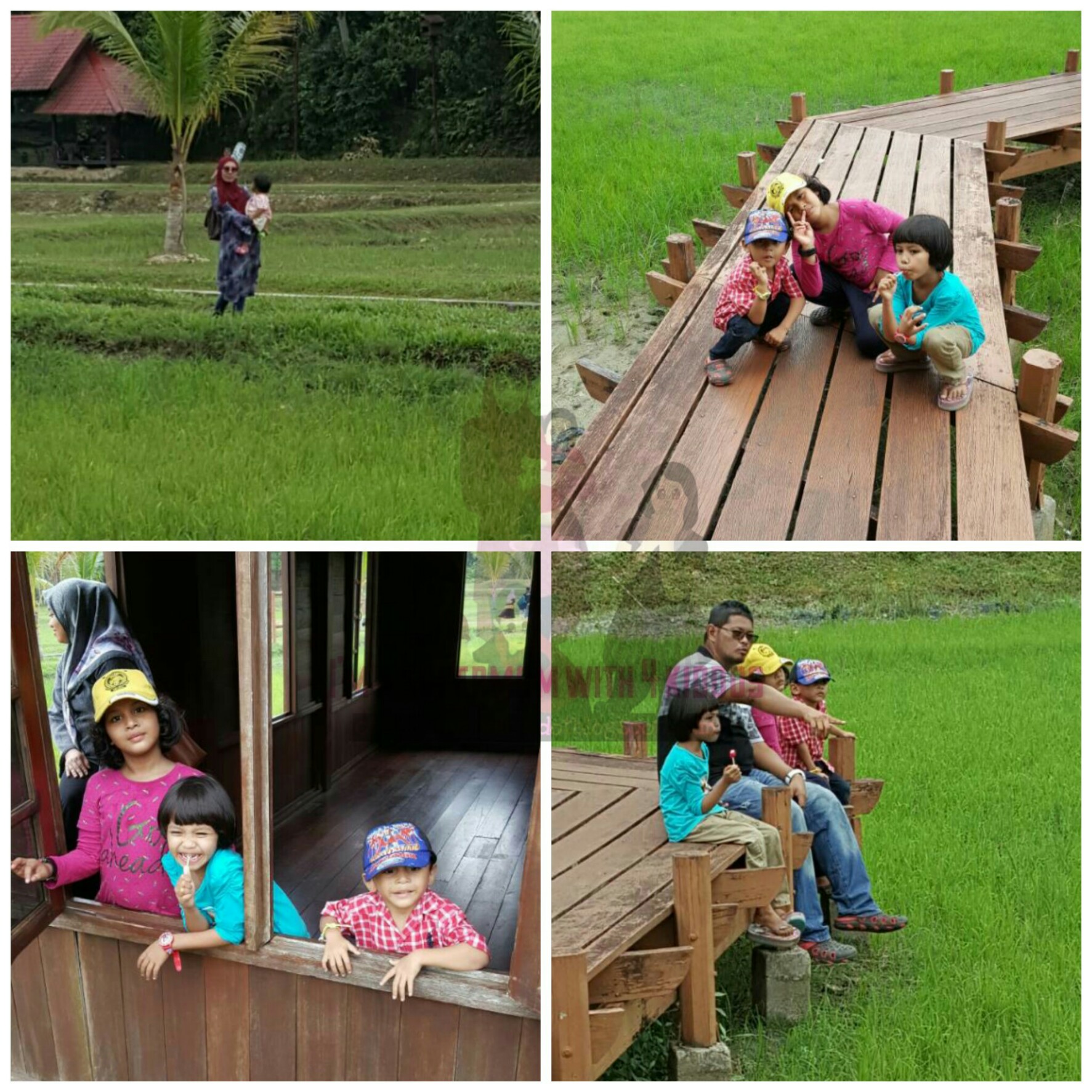 [Entri Bergambar] Jalan-jalan membakar lemak di Taman Botani Negara, Shah Alam.