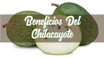 Beneficios Del Chilacayote