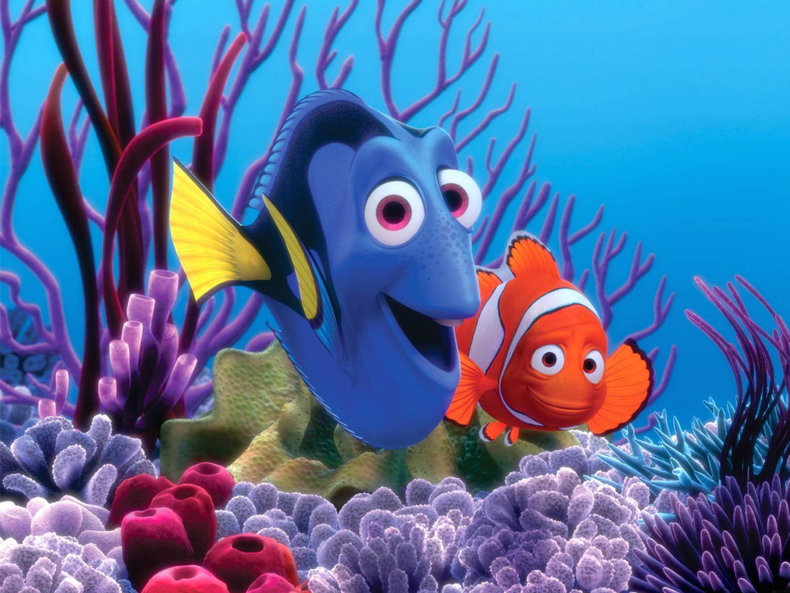 Pictures Of Finding Nemo 6