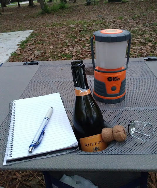 A toast for Dan, Lake Livingston State Park, Texas. October 2020.