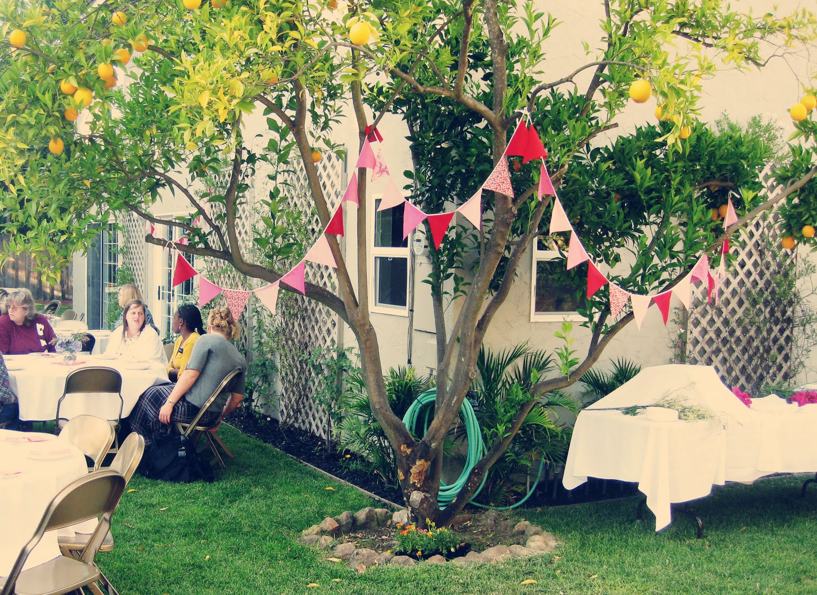 Miranda Murdock: Garden Party!