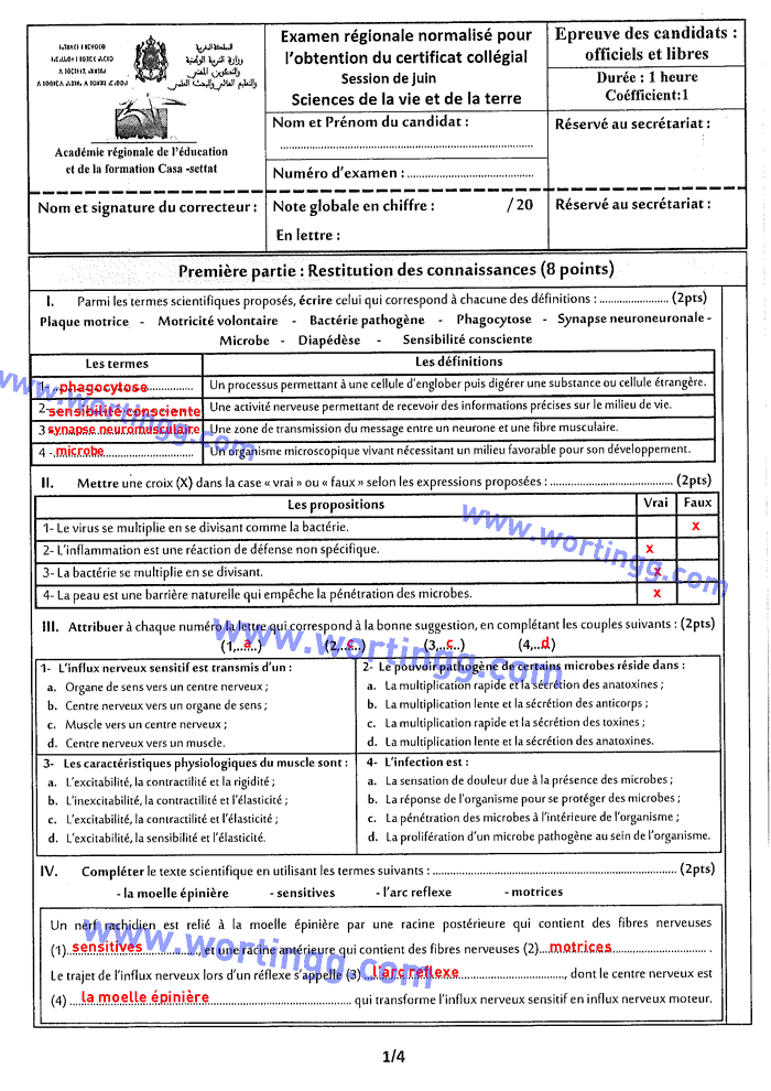 examen régional svt 3ac avec correction