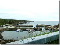 ptk harbour2