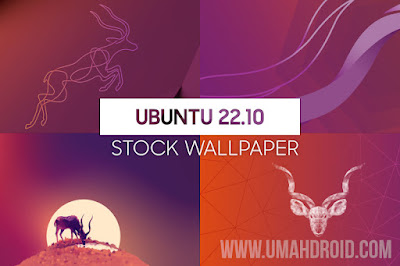 Ubuntu 22.10 Wallpaper Full HD