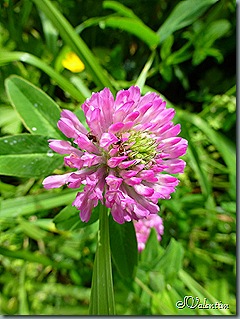 P1040017