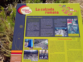 Cartel interpretativo "la calzada romana"en los pinares de Zuera