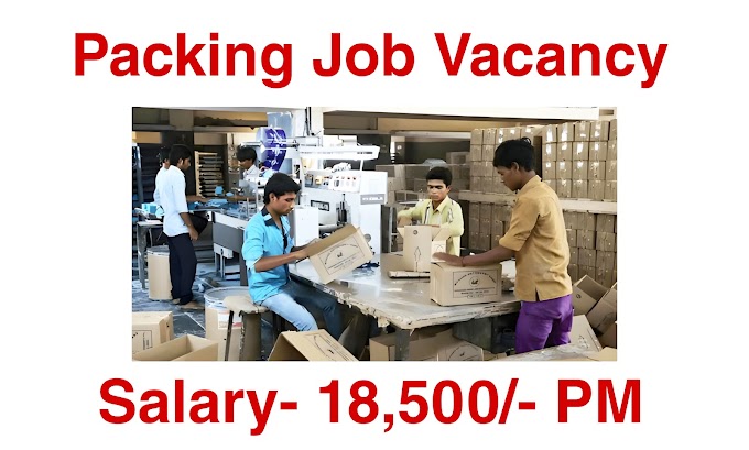 Packing Job Vacancy 2024 - packing job apply, Packing job 2024