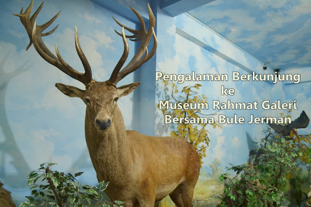 pengalaman berkunjung ke museum rahmat galeri bersama bule jerman