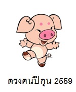 ดวงคนปีกุน 2559