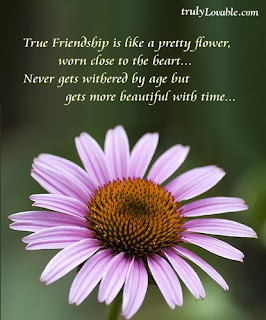 Friendship Day Wishes