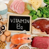 vitamin b2 melia biyang