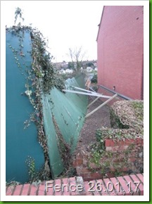 wonky fence bets on[12]