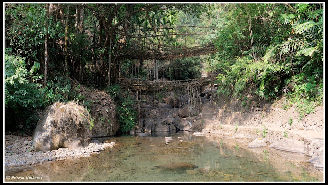 Double Decker Live Root Bridge, Nongriat