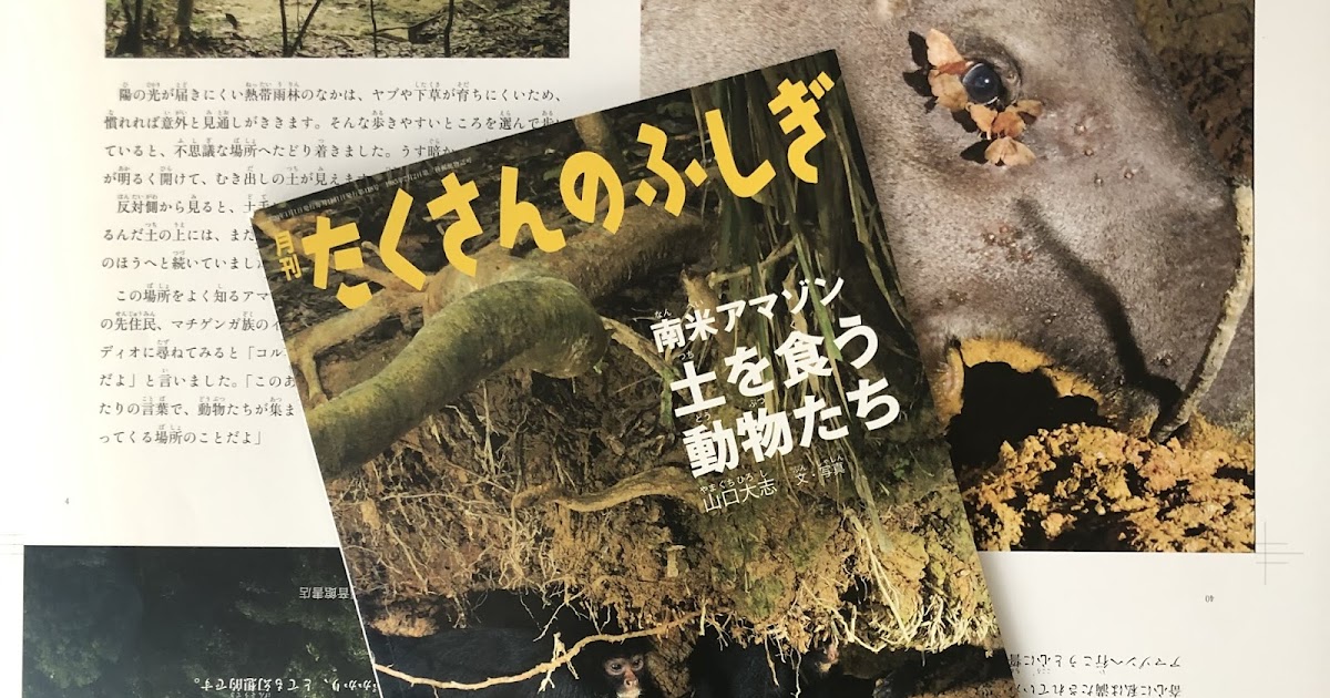 ふしぎ”を知ると、世界が変わる！ 「たくさんのふしぎ」ブログ