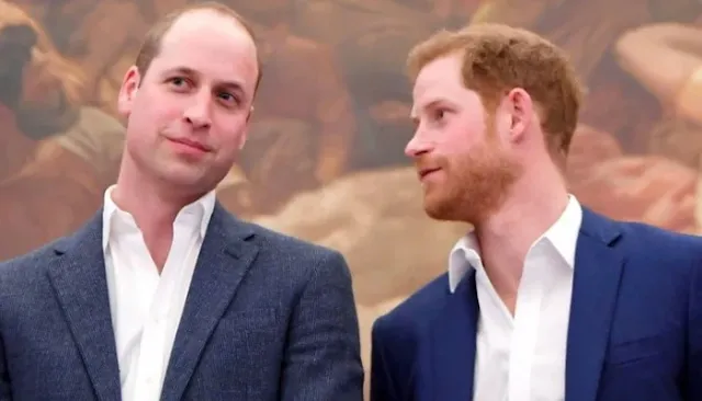 Prince Harry and Prince William Unite in Support of Environmental Causes