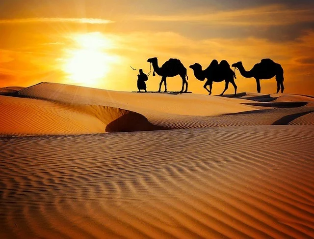 Unforgettable Adventures: Discover the Magic of a Morning Desert Safari in Abu Dhabi