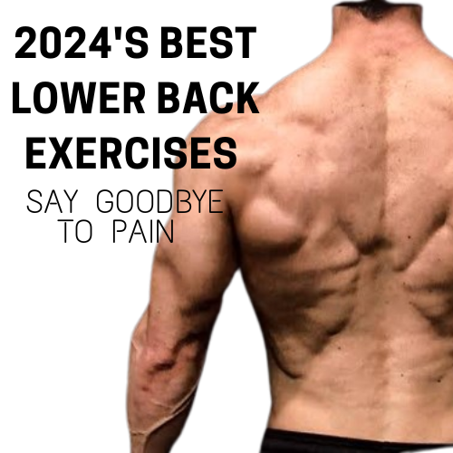 2024's BEST Lower Back Exercises to Say Goodbye to Pain!