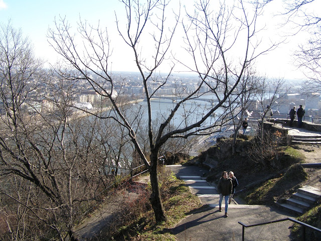 Vedere Pesta din Buda